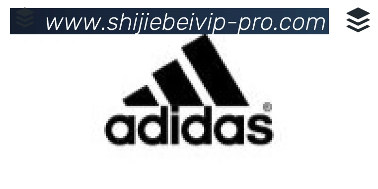 世界杯资讯官方网站合作伙伴